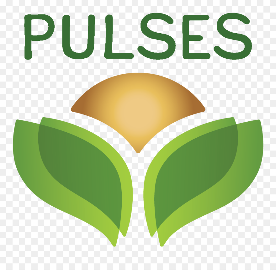 Grain Clipart Pulse - Pulses Canada - Png Download