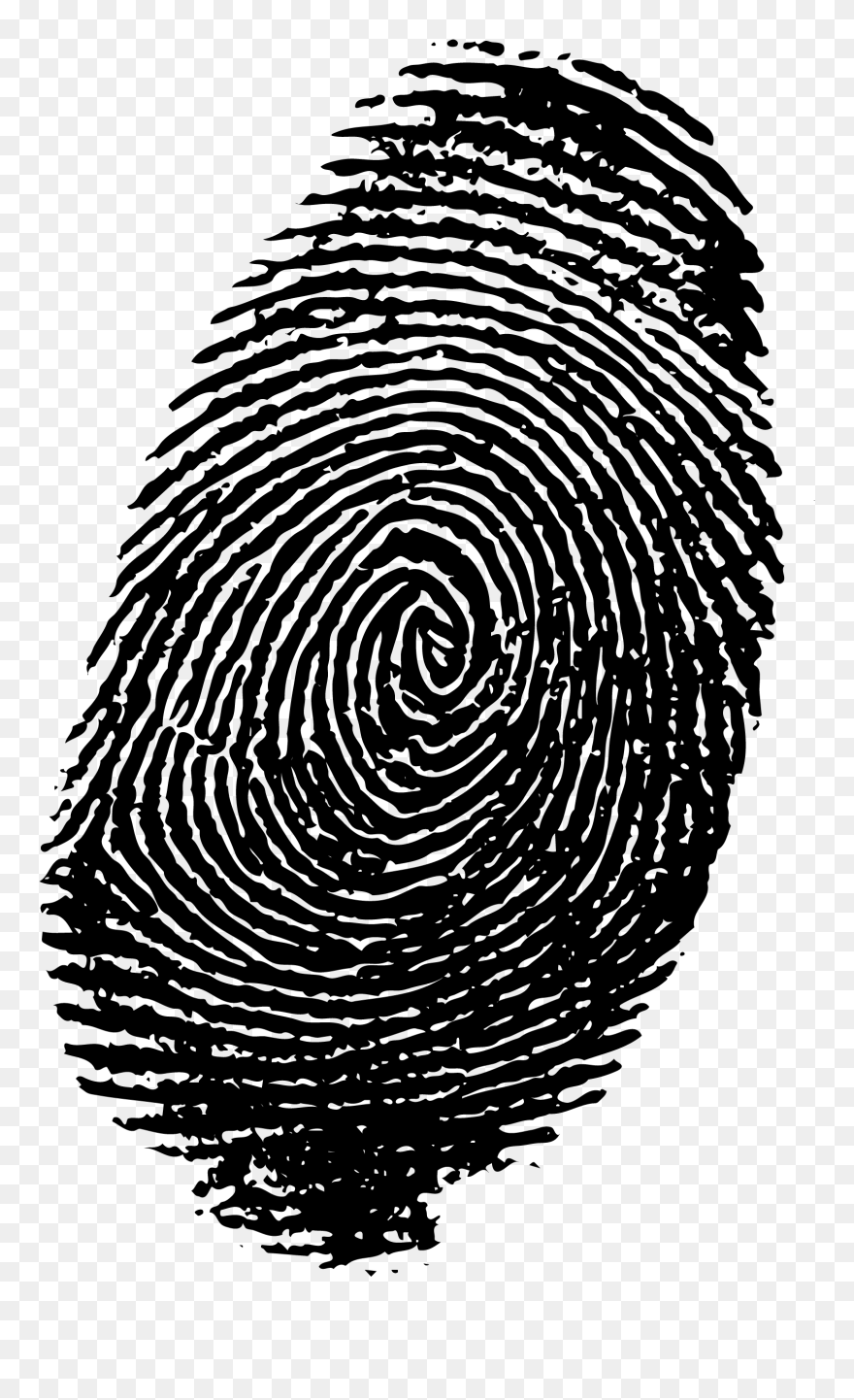 Finger Print Png - Transparent Background Fingerprint Transparent Clipart