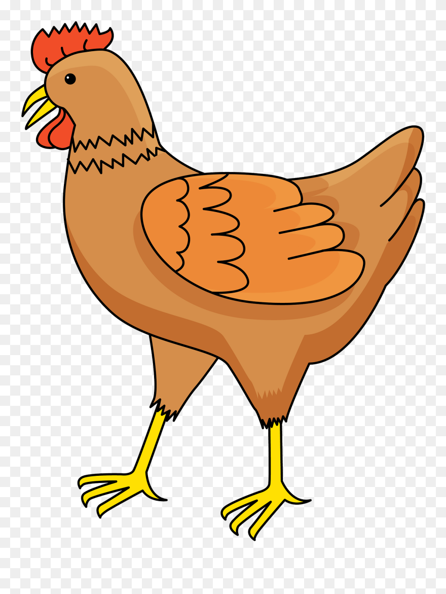 Hen Clipart - Png Download