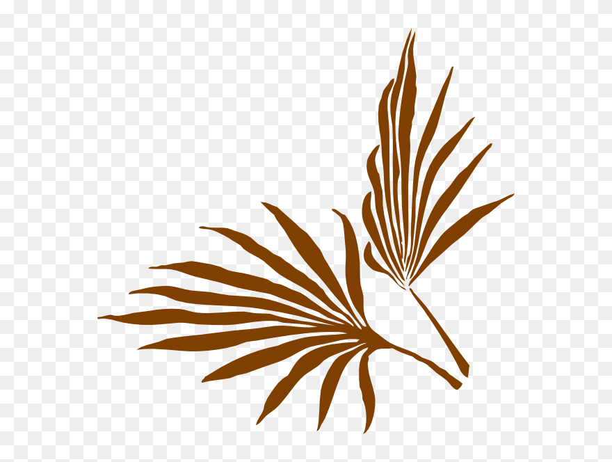 Palm Frond Clip Art - Png Download
