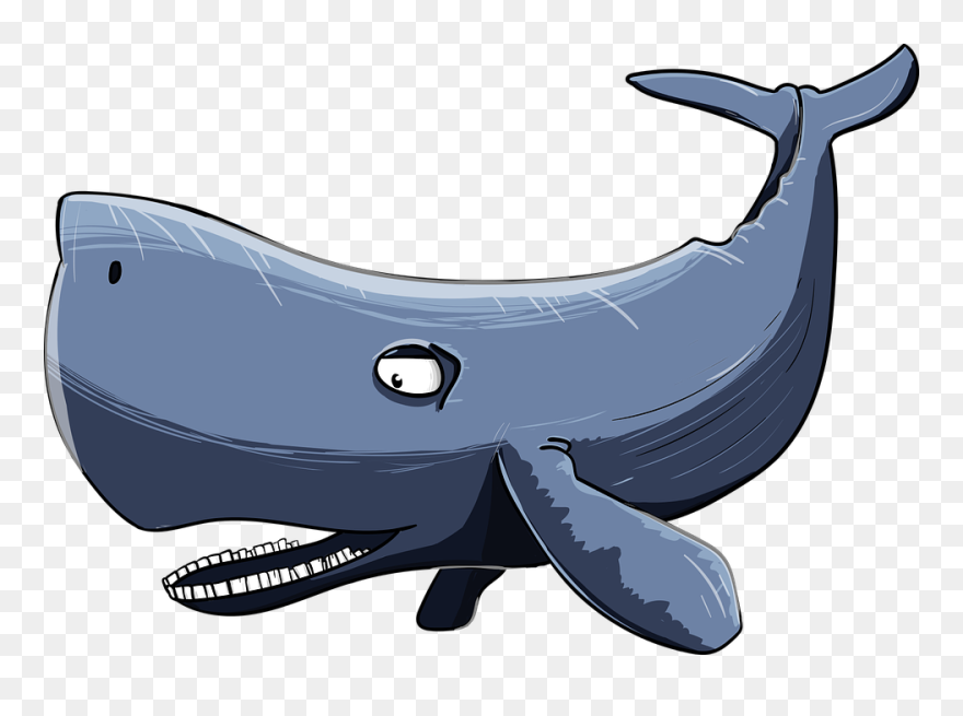Whale Cartoon - Sperm Whale Cartoon Png Clipart
