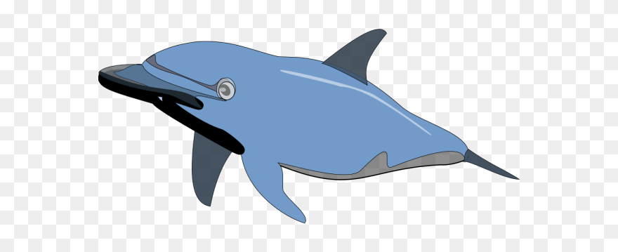 Blue Dolphin Png Icons - Dolphin Clip Art Transparent Png