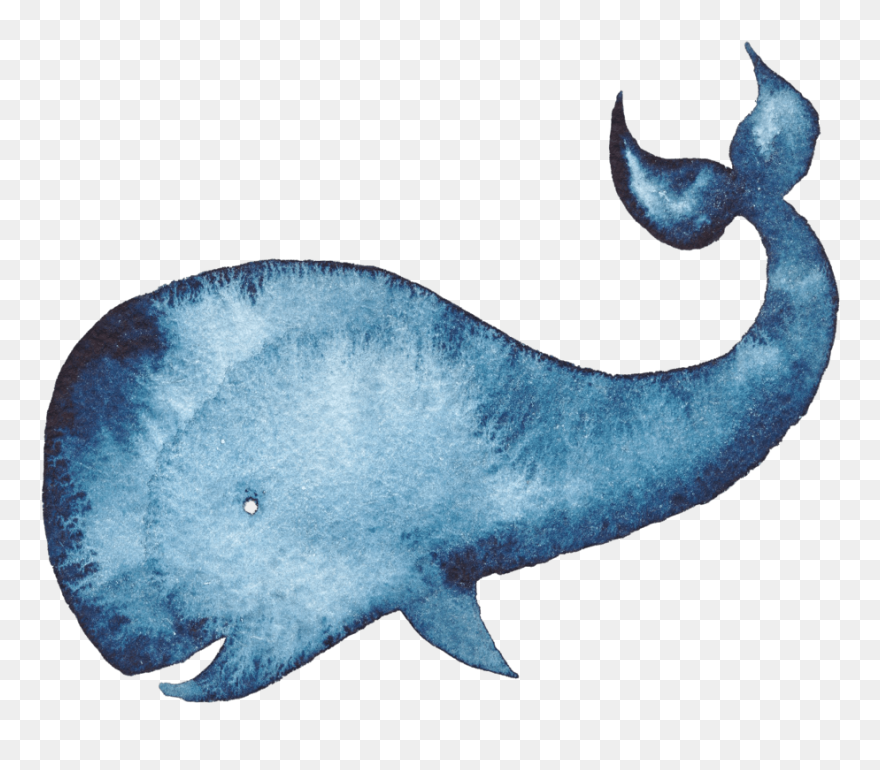 Humpback Whale Watercolor Painting Blue Whale - Whale Watercolor Clipart