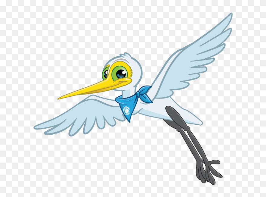 Pelican Clipart