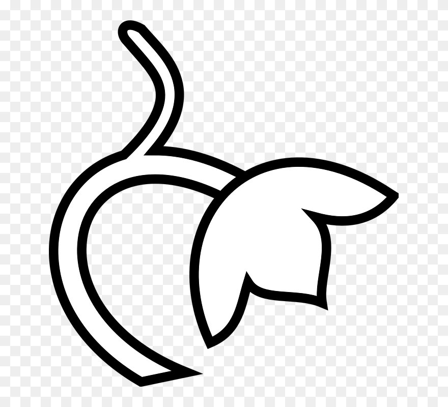 Transparent Passover Clipart - Pumpkin Stem Clipart Black And White - Png Download