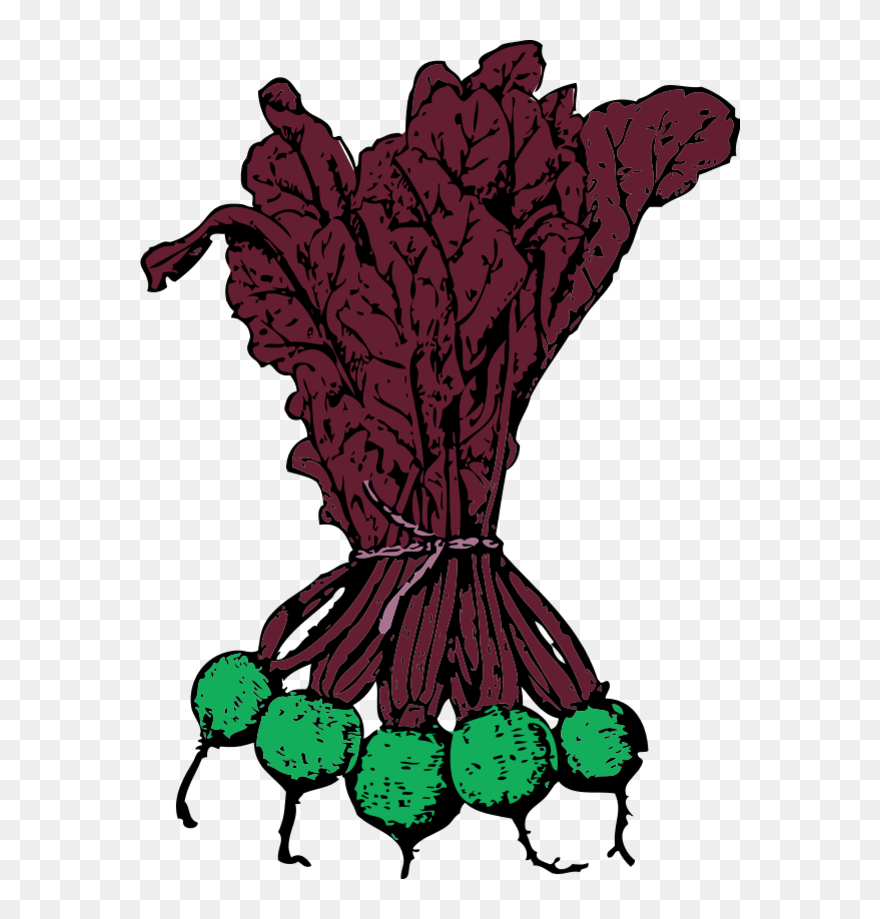 Vector Clip Art - Beets Clip Art - Png Download