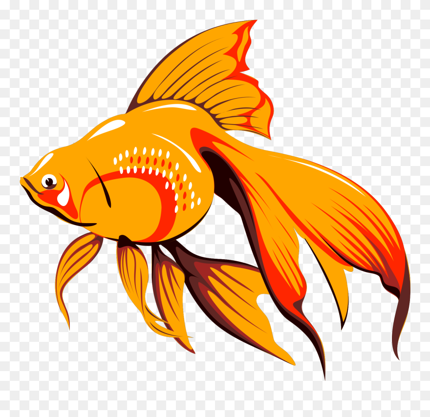 Fish Gif Png Clipart