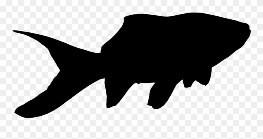 Goldfish Silhouette Goldfish Gangsta Goldfish - Goldfish Silhouette Clipart