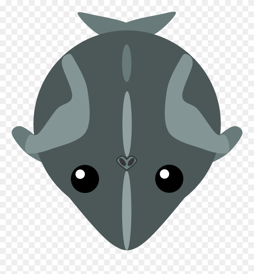 Orca Clipart Minke Whale - Png Download