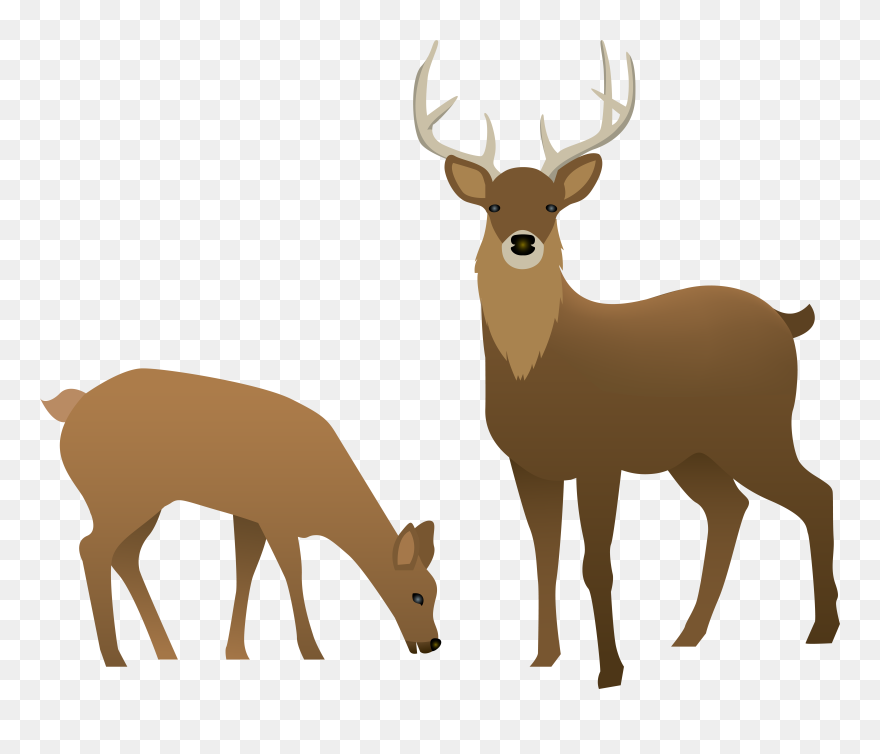 Deer Transparent Clipart"src="data - Png Download