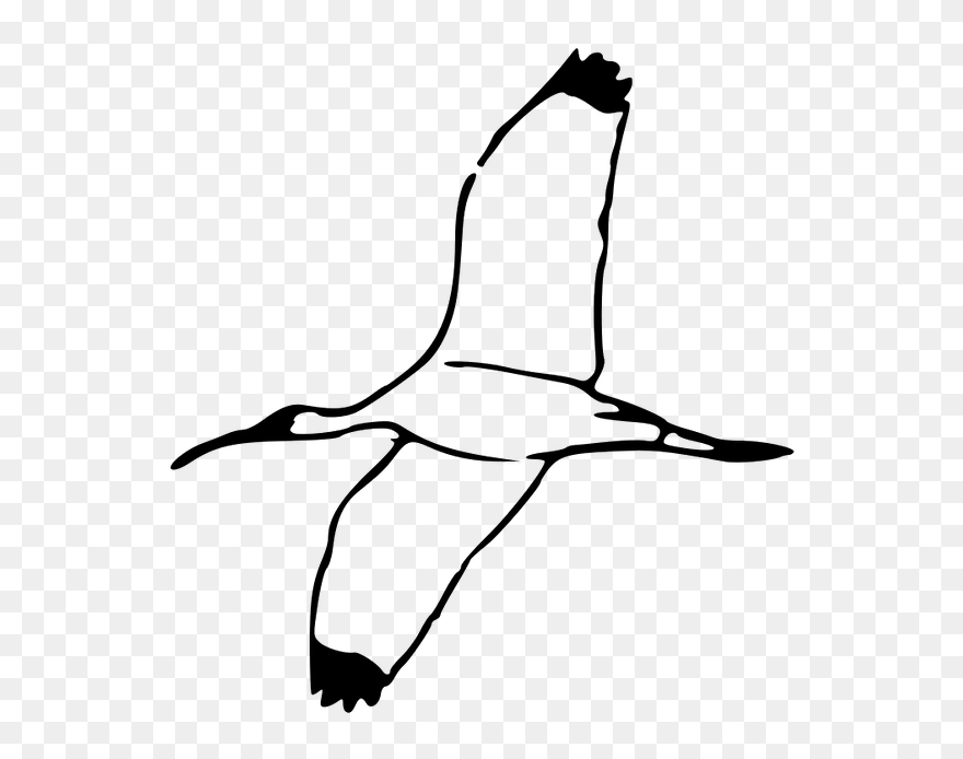 White Birds Flying Clipart , Png Download - Bird Flying Clipart Black And White Transparent Png