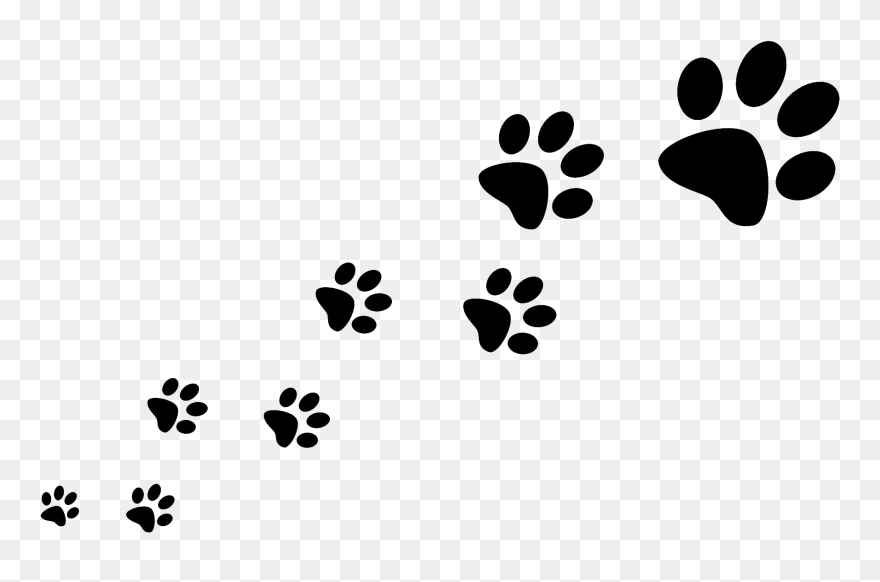 Dog Walking Pet Sitting Cat - Transparent Background Dog Paw Prints Png Clipart