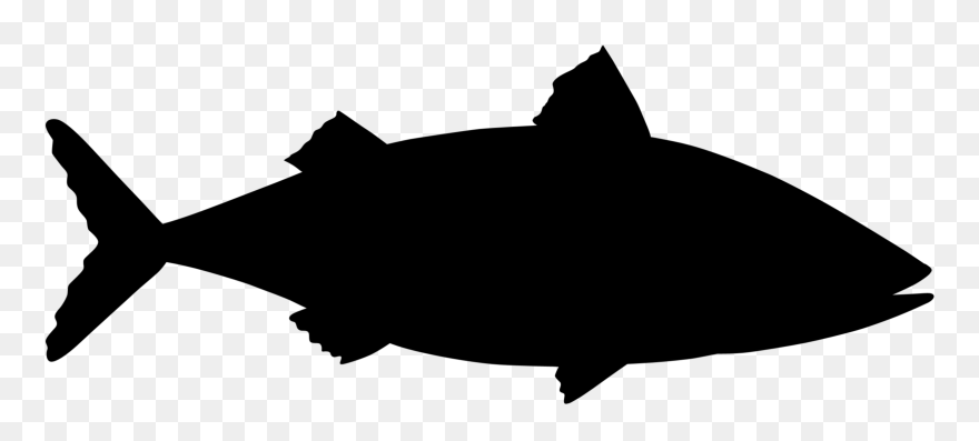 Shark Clip Art Silhouette Black M - Shark - Png Download