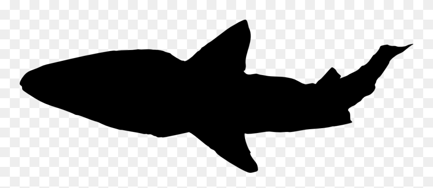 Transparent Shark Clipart Black And White - Shark Silhouette Transparent Background - Png Download