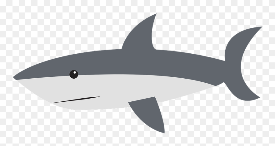 Great White Shark Clipart Tiburon - Cartoon White Shark Clipart - Png Download