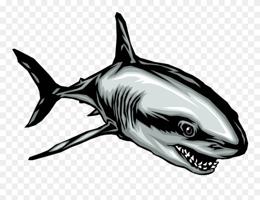 Transparent Fish Clipart Black And White - Adaptive Radiation In Bony Fishes - Png Download