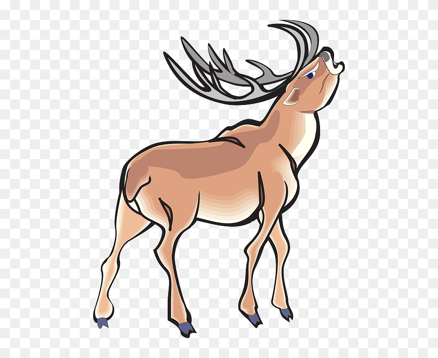 Angry, Deer, Wild, Art, Animal, Antlers - Angry Deer Cartoon Clipart