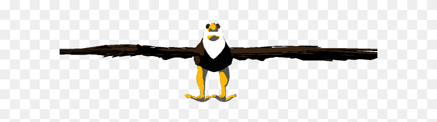 Bald Eagle Clipart Life Cycle - Bald Eagle - Png Download