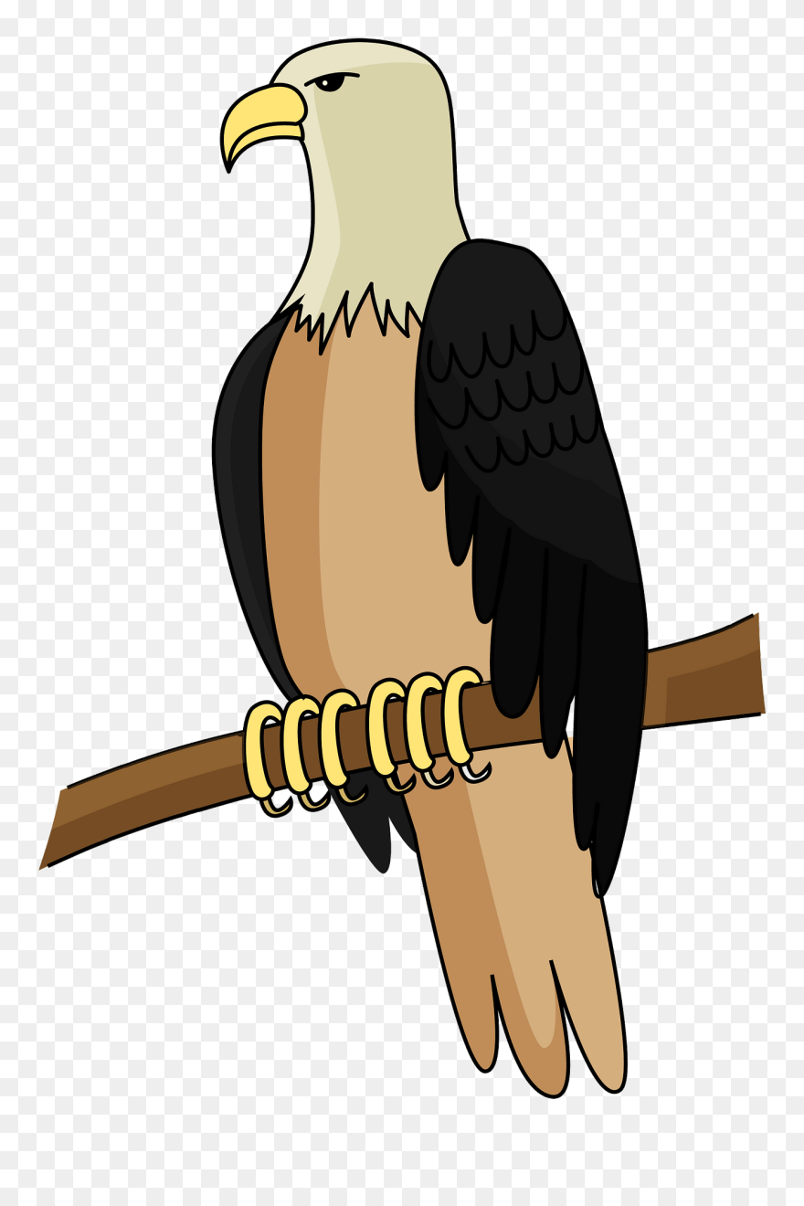 Bald Eagle Clipart