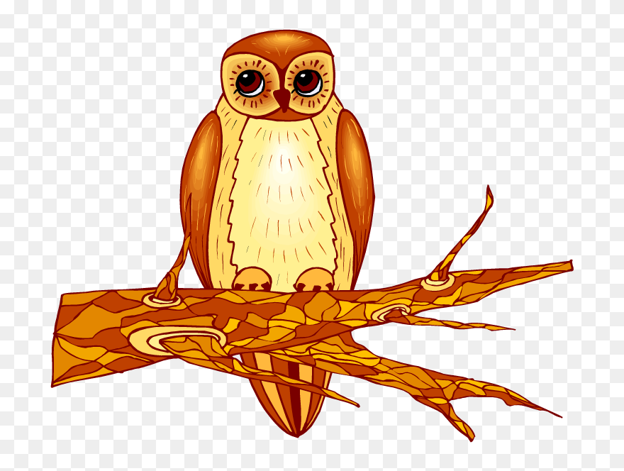 Illustration Clipart