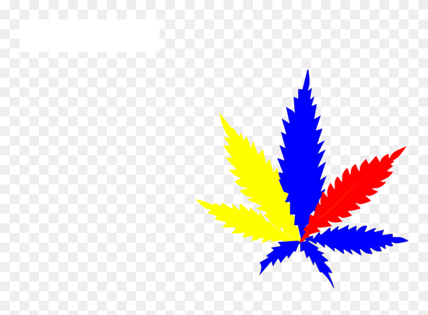 Plant,leaf,symmetry - Hash Marihuana & Hemp Museum In Amsterdam Clipart