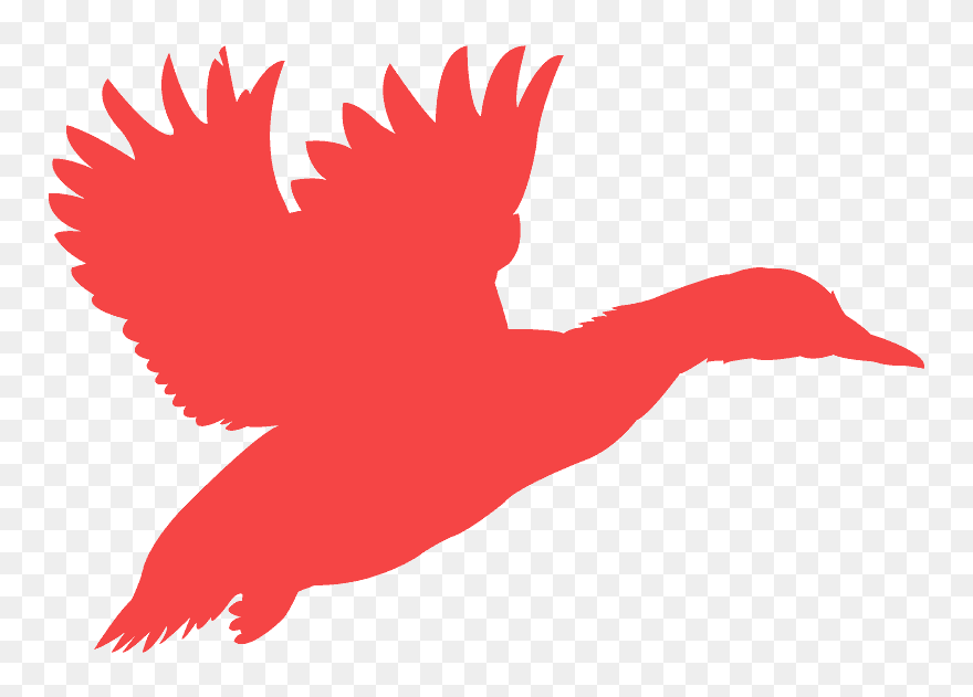 Silhouette Of A Flying Mallard Clipart