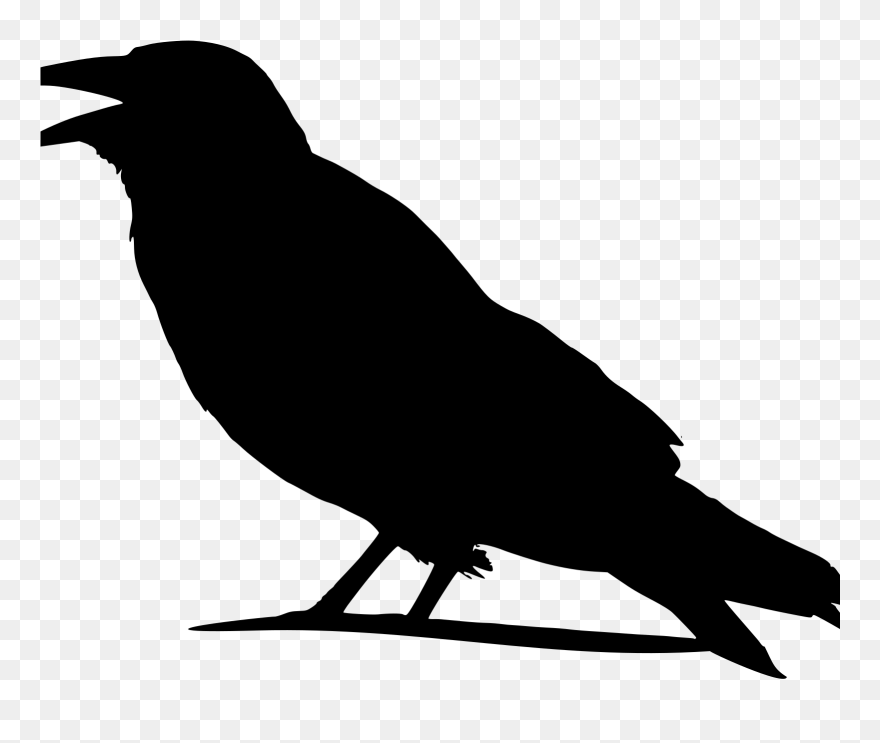 Crow Clipart - Png Download