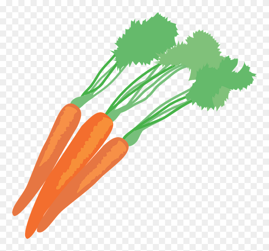 Carrot Vegetable Food Clipart - Carrot - Png Download