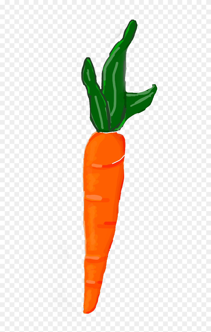 Carrot Clipart