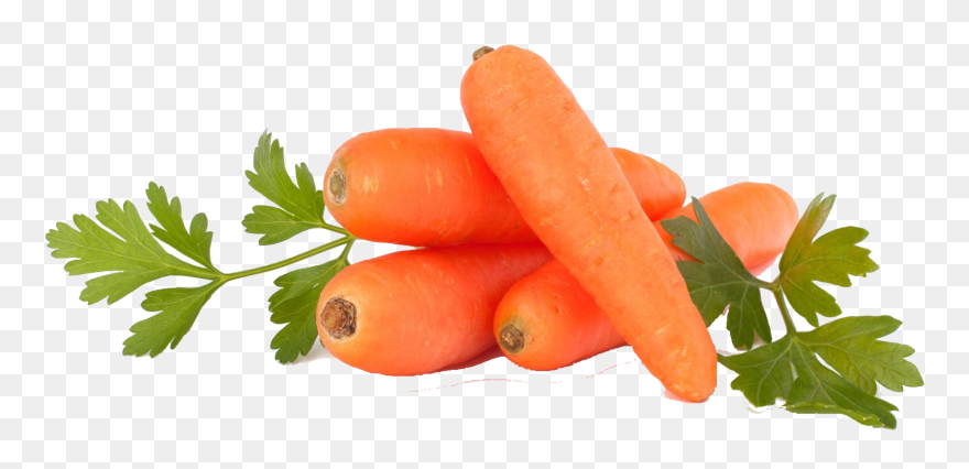 Carrots Png Purple - Imagen De Carrot Clipart