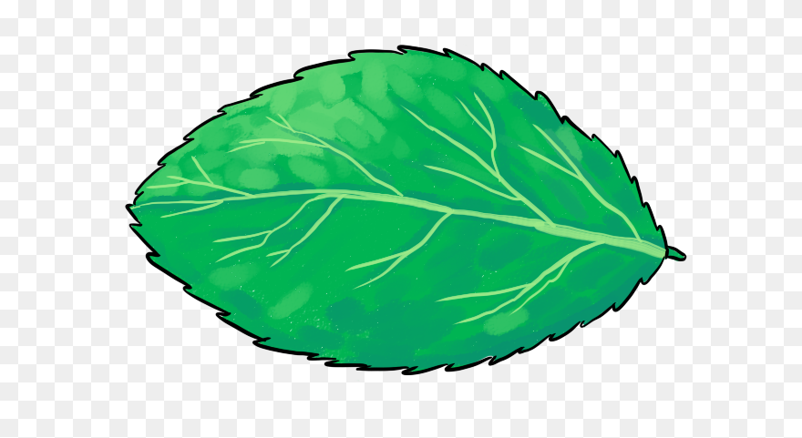 Illustration Clipart