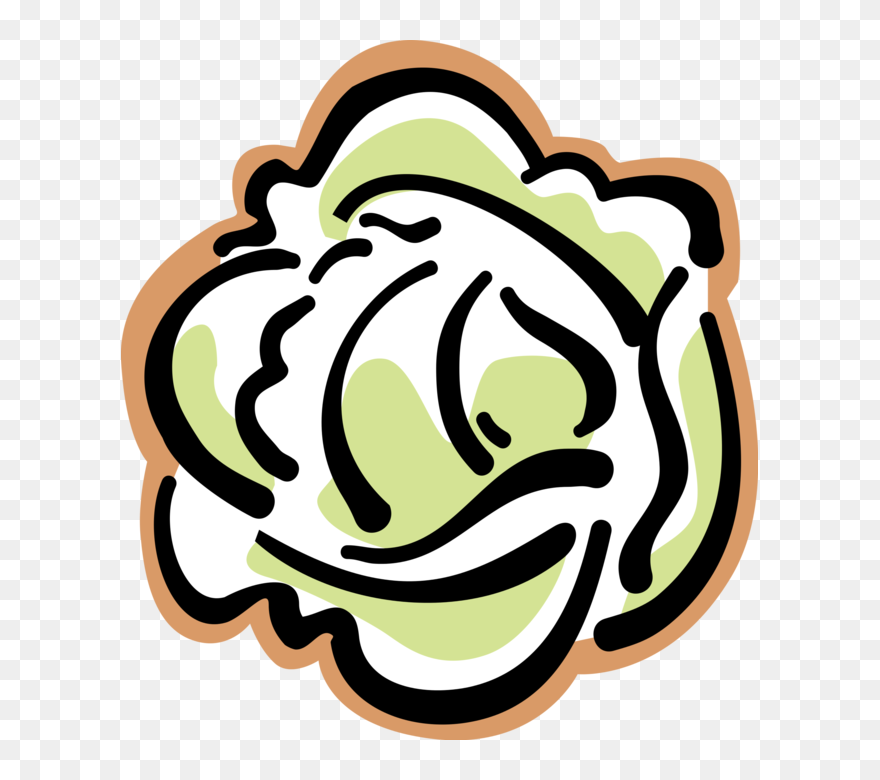 Vector Illustration Of Leaf Vegetable Head Of Lettuce - Bread Clipart