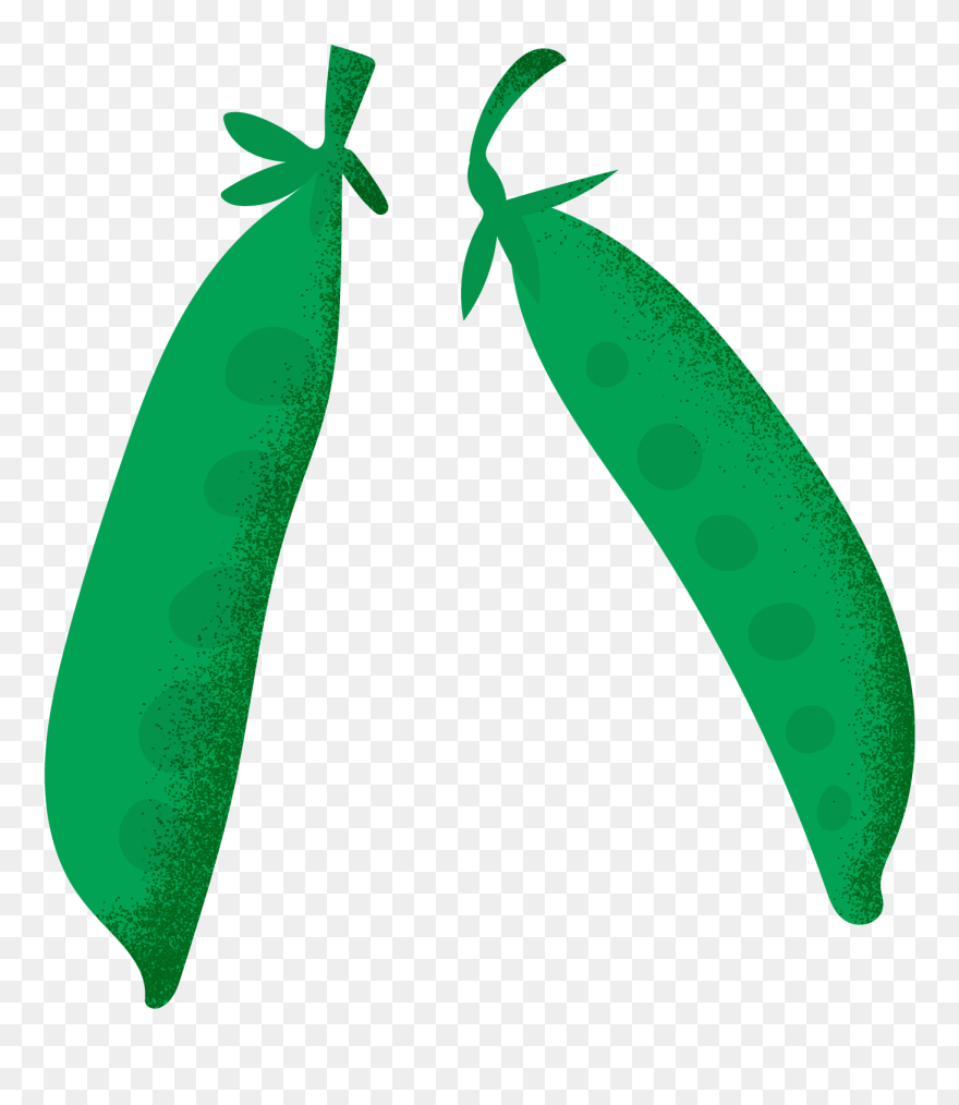 Clip Art - Png Download