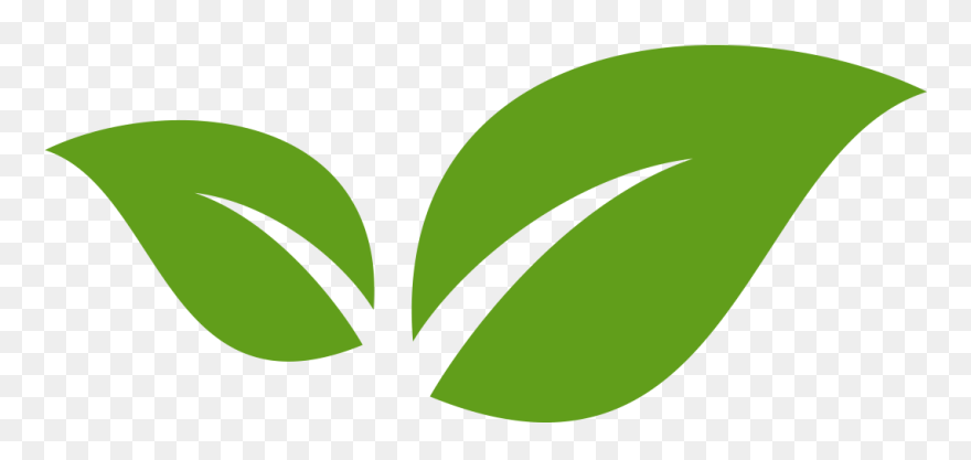 Leaf Clipart
