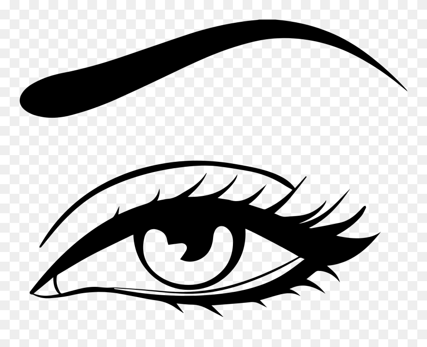 Collection Of Free Eyelashes Drawing Eyebrow Download - Lashes And Brows Vector Png Clipart