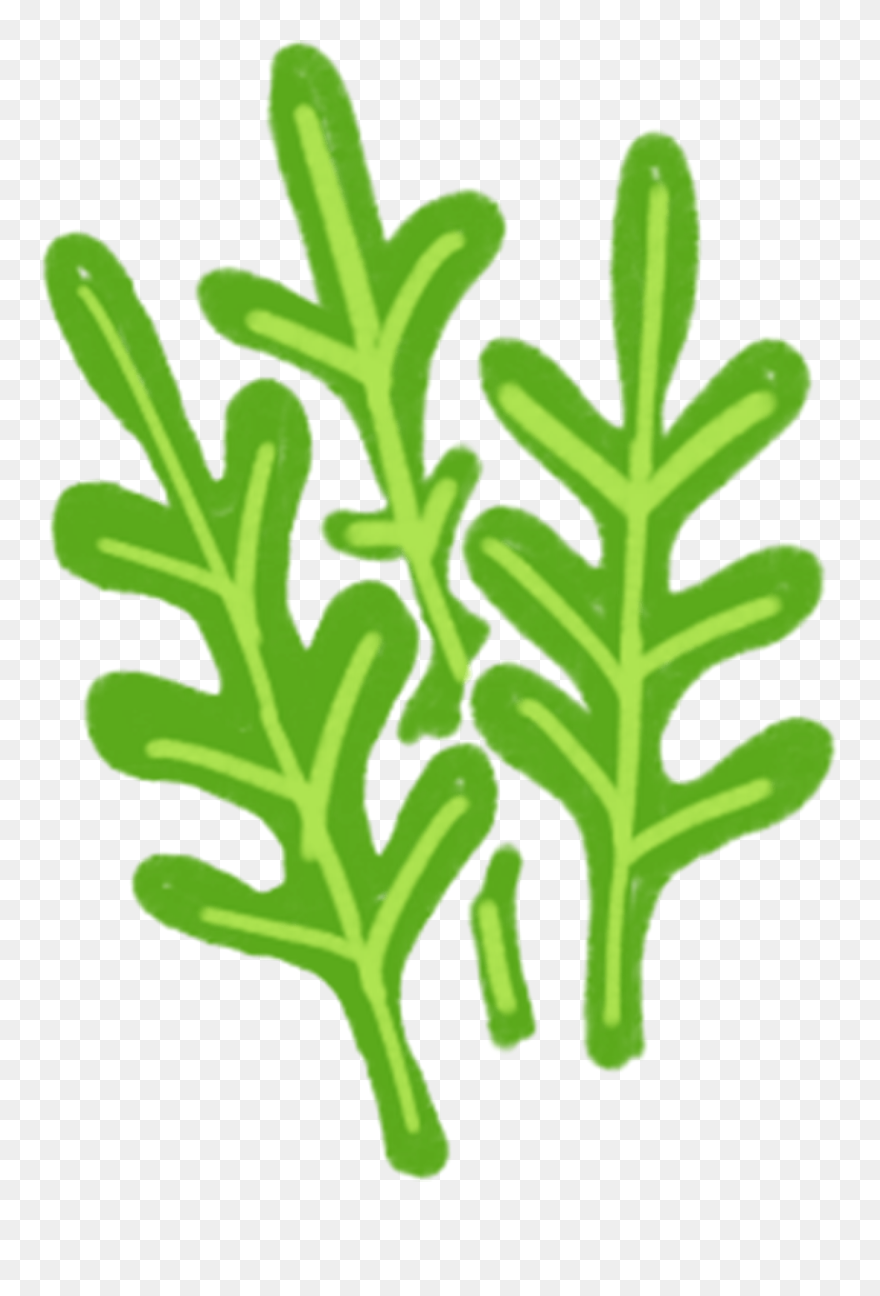 Clip Art - Png Download