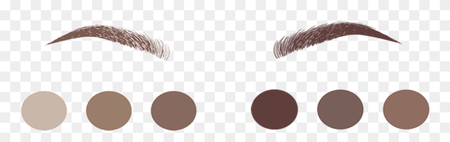 Eyebrow Png - Light Brown Eyebrows Png Clipart