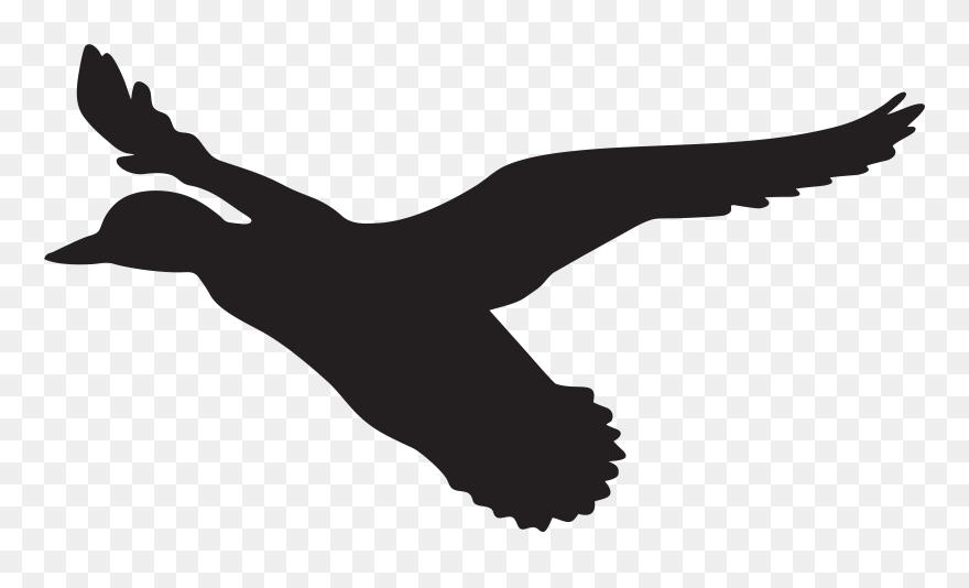 Flying Duck Clipart Black And White"src="data - Flying Duck Silhouette Png Transparent Png