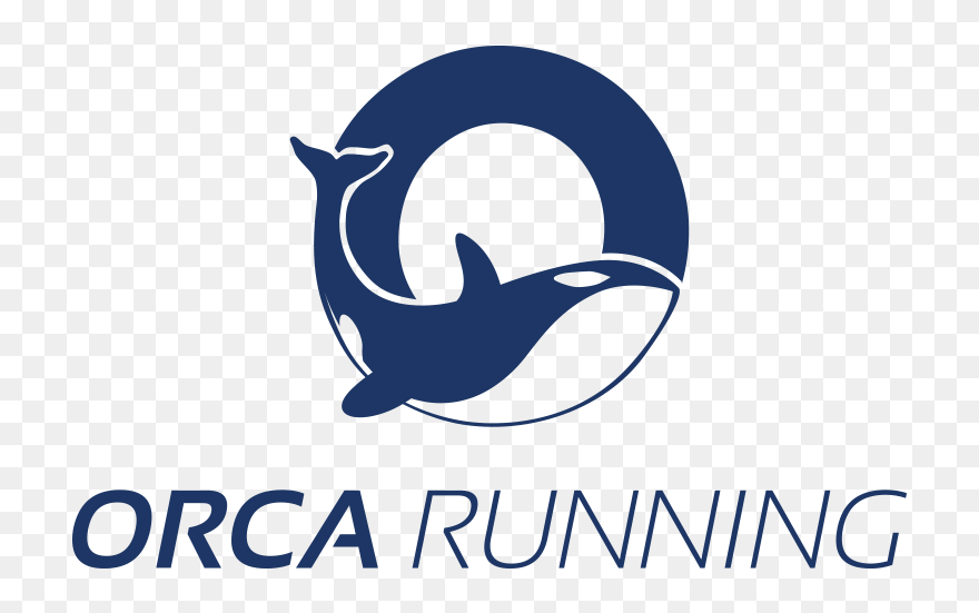 Hungry orca роблокс. Рострум у дельфинов. Orca язык программирования. Orca logo png. Логотип orca.