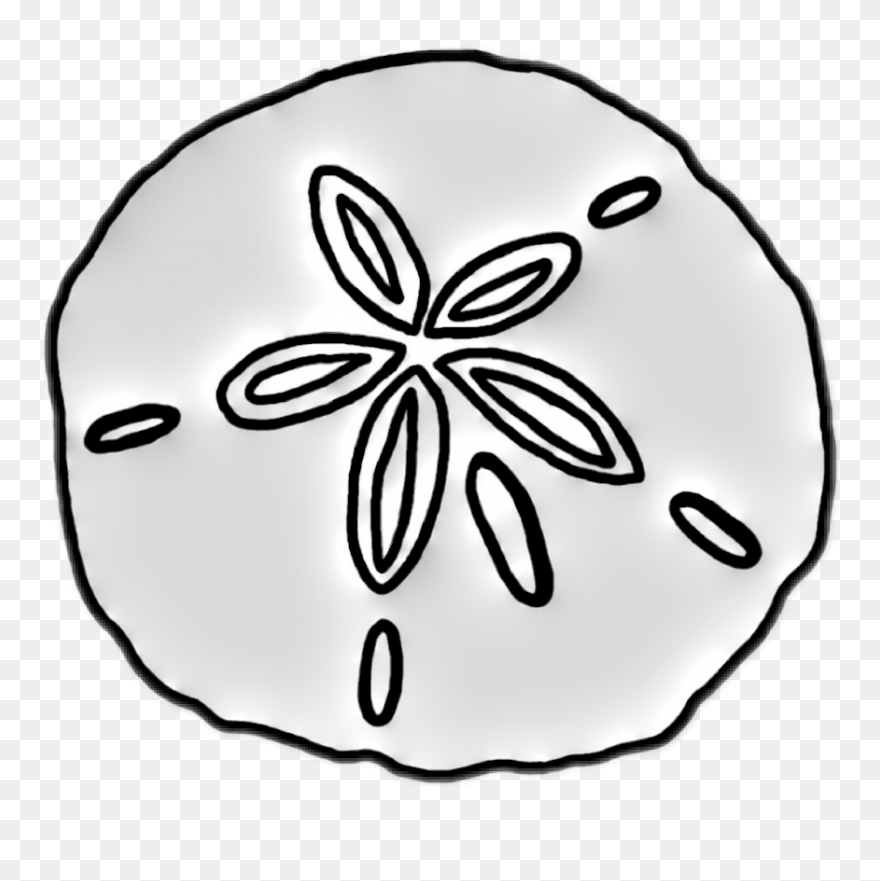 #sanddollar - Svg Sand Dollar Clipart