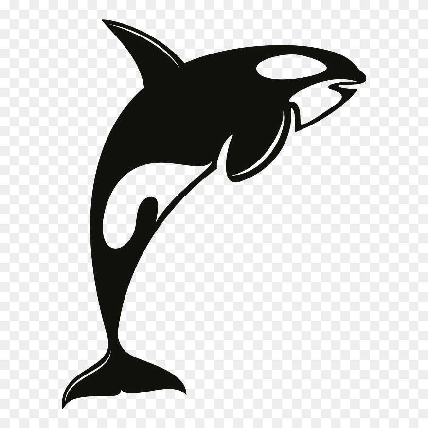 Orca Clipart Orca Svg Free Png Download 5605463 Pinclipart