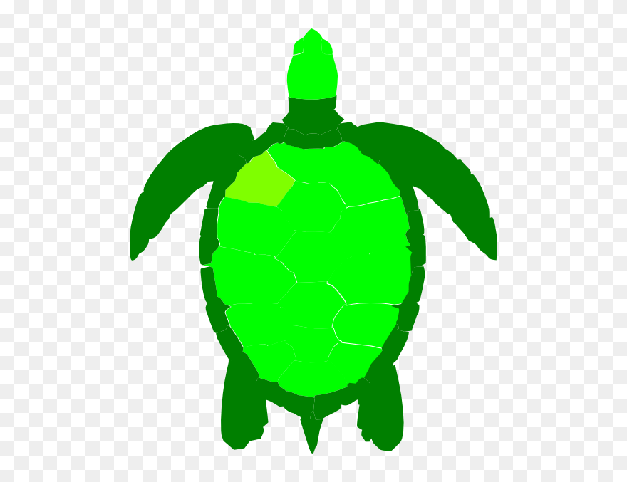 Green Sea Turtle Reptile Clip Art - Green Sea Turtle Clipart - Png Download