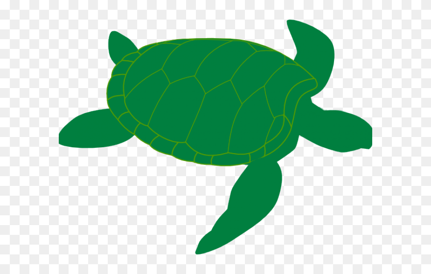 Green Sea Turtle Clip Art - Png Download