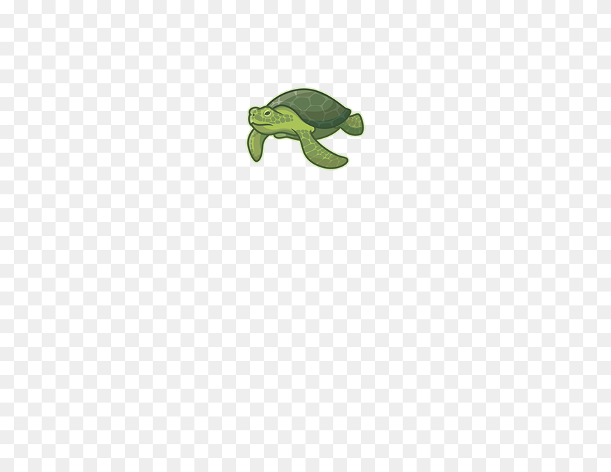 Sea Turtle - Green Sea Turtle Clipart