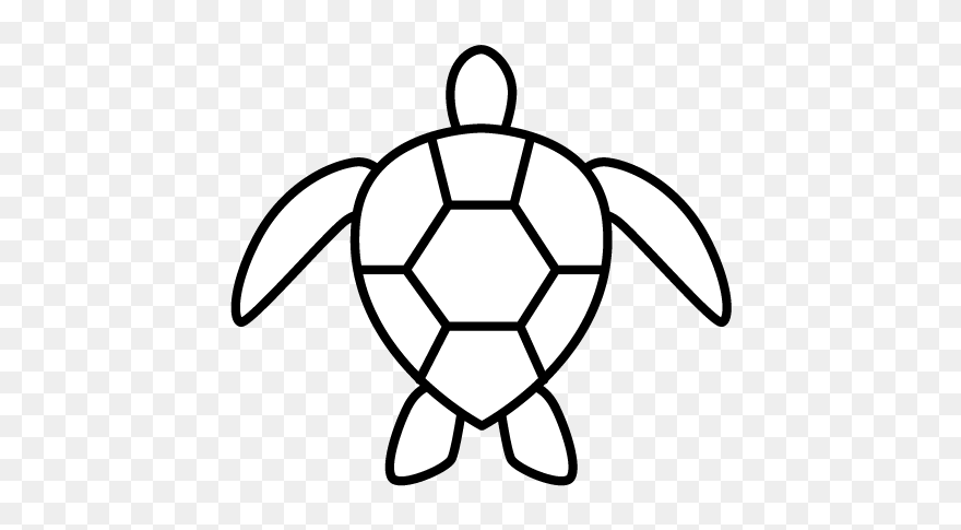 Turtle Black And White Clipart