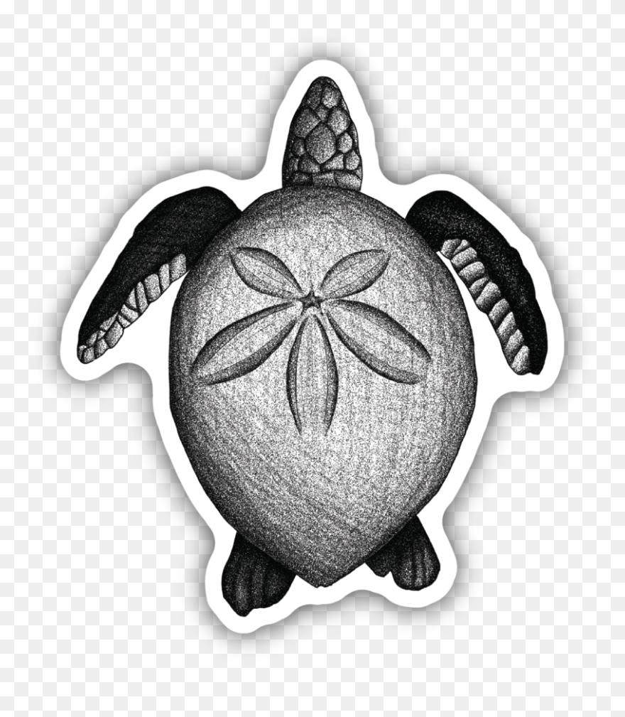Green Sea Turtle Clipart