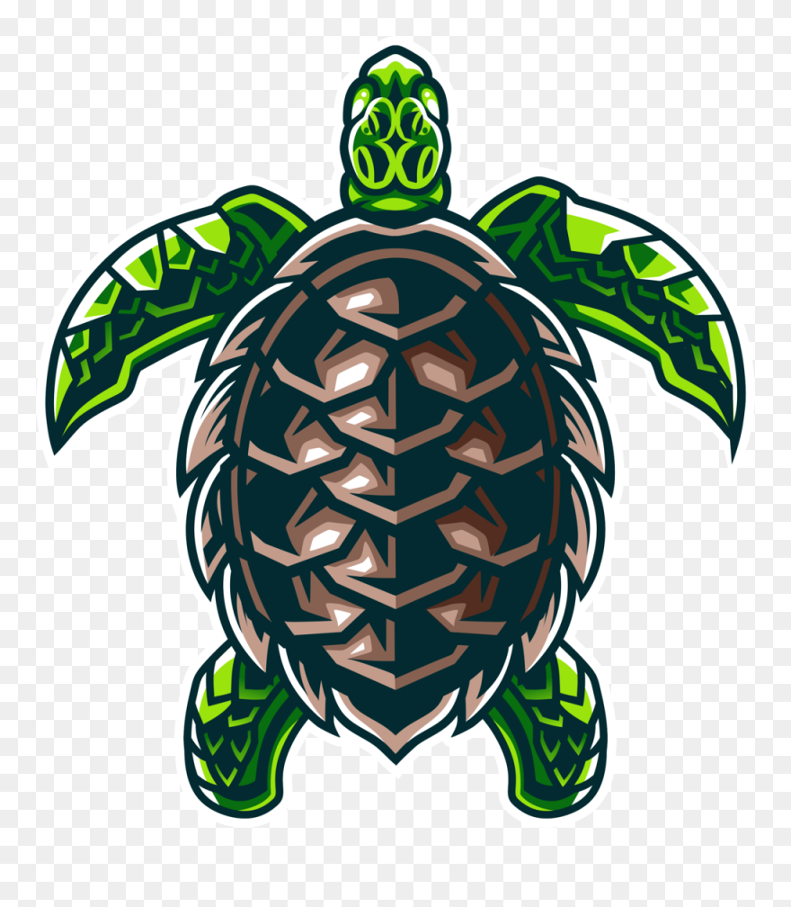 Hawaiian Sea Turtle Clipart - Png Download