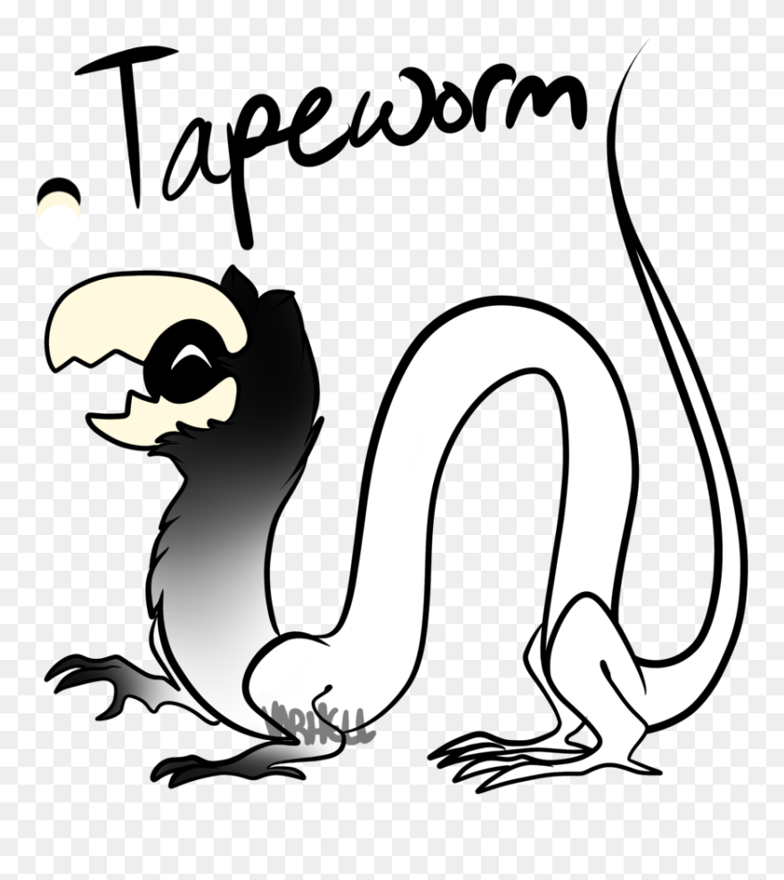 Worm Clipart Annelida - Cartoon - Png Download