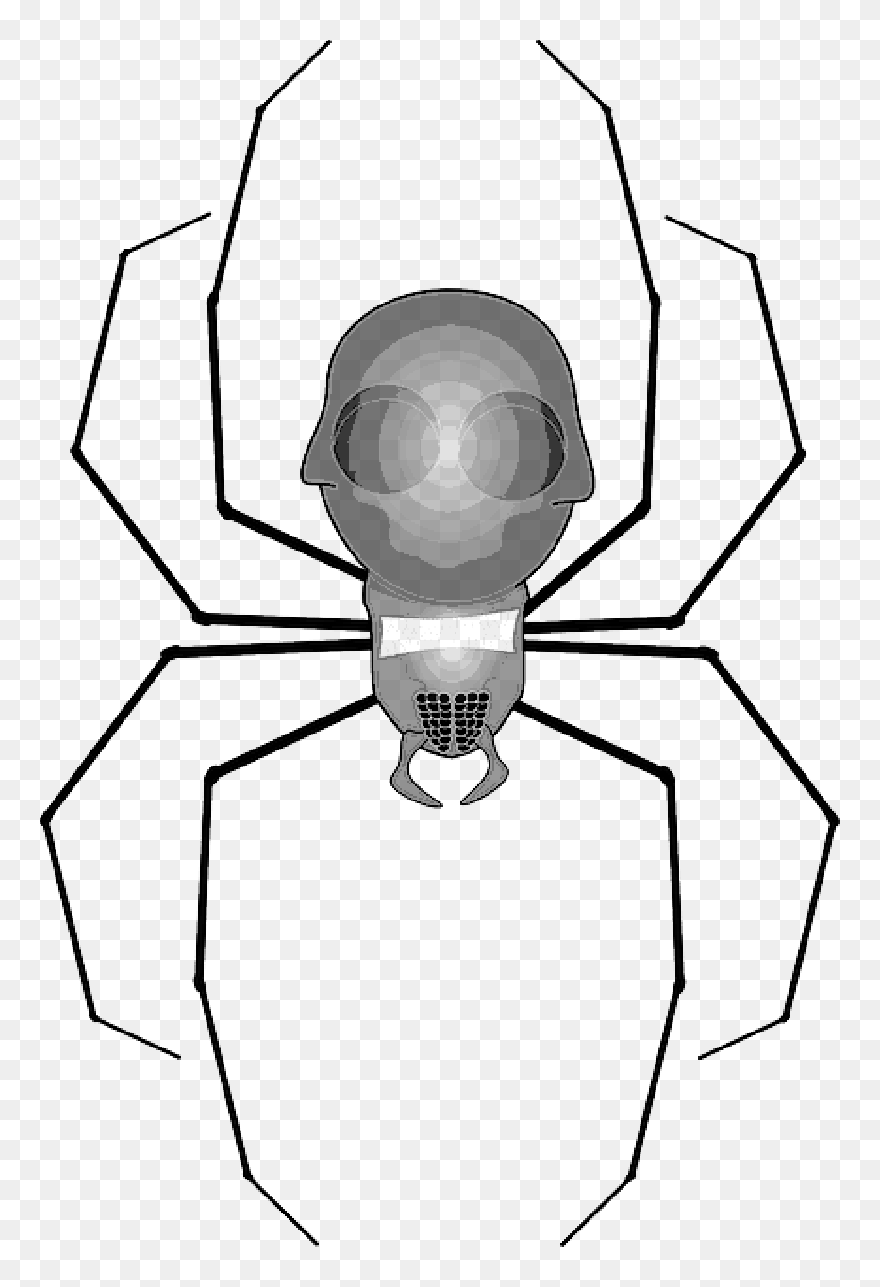 Spider Clip Art , Png Download - Spider Clip Art Transparent Png