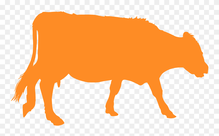 Clip Art - Png Download